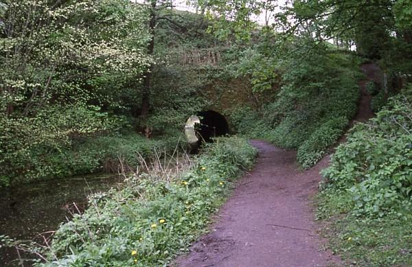 Gregory Tunnel