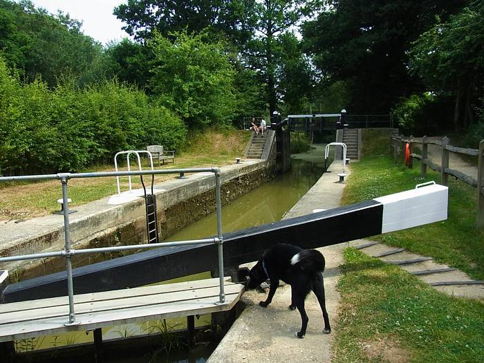 Brewhurst Lock 5