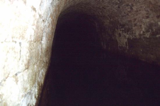 Looking into SE Portal of Berwick Tunnel