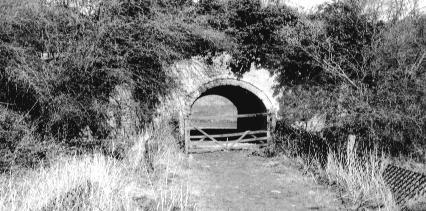 Underbridge at Rodington