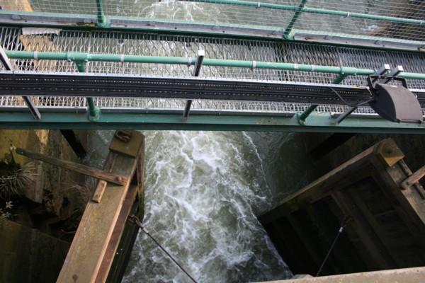 Boston Grand Sluice