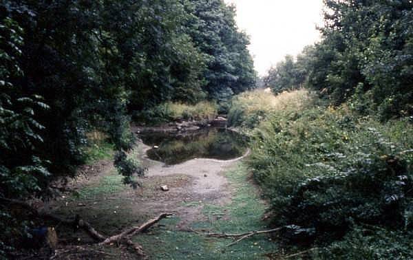 Top of Four Locks