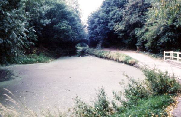 Below Norwood Locks