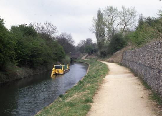 Dog Kennel Bridge 31