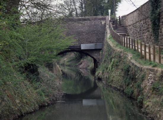 Dog Kennel Bridge 31