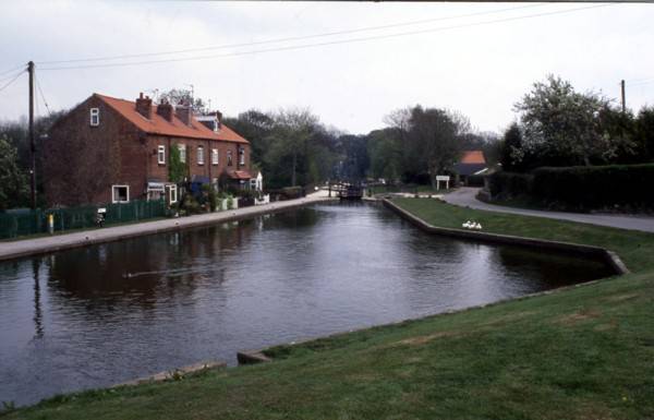 Turnerwood Basin