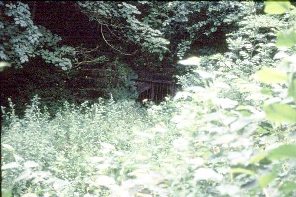 Butterley Tunnel