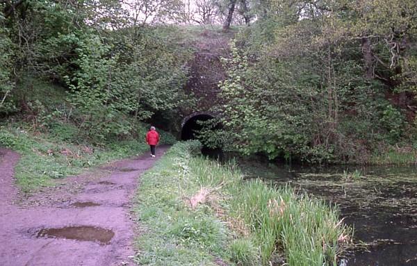 Gregory Tunnel