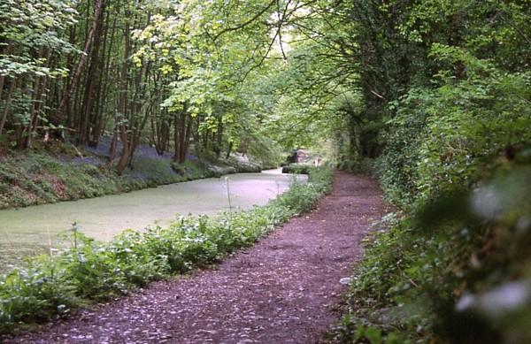 Gregory Tunnel