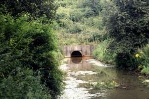 Butterley Tunnel