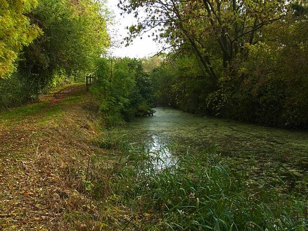 Woolsthorpe Lock 13