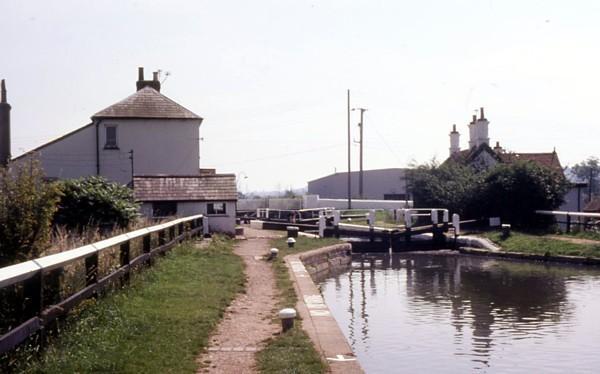 Cowroast Lock