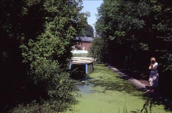 Tringford Stop Lock