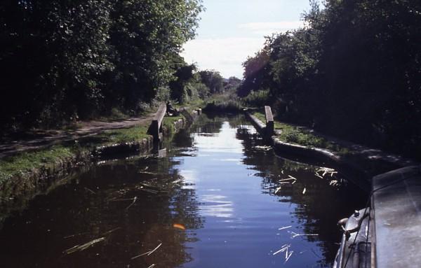 Tringford Stop Lock