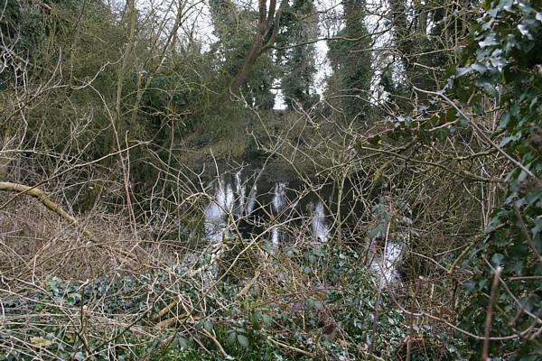 Canal near Teigh