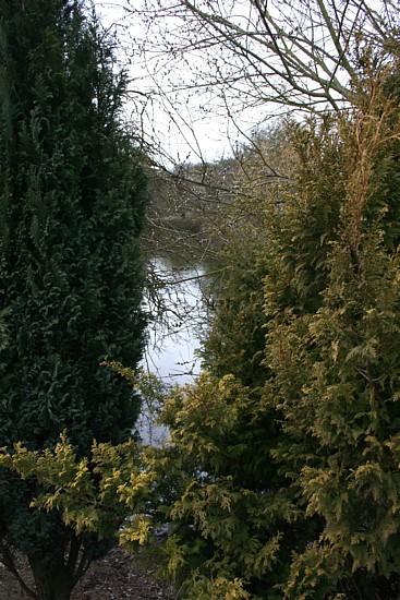 Canal near Cord Hill