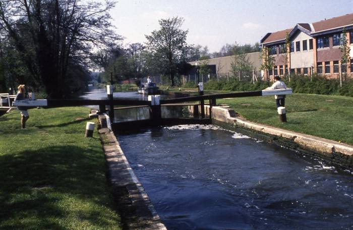 Open top gates when water makes a level