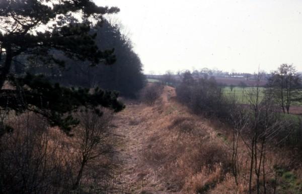 Skew Bridge, Forton