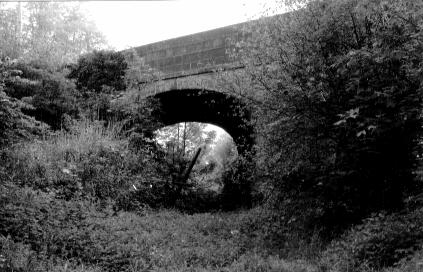 Skew Bridge, Forton