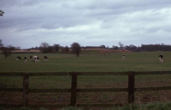 Site of Canal