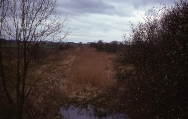 Site of Canal