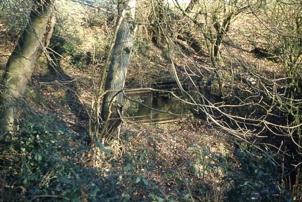 Hardham Tunnel