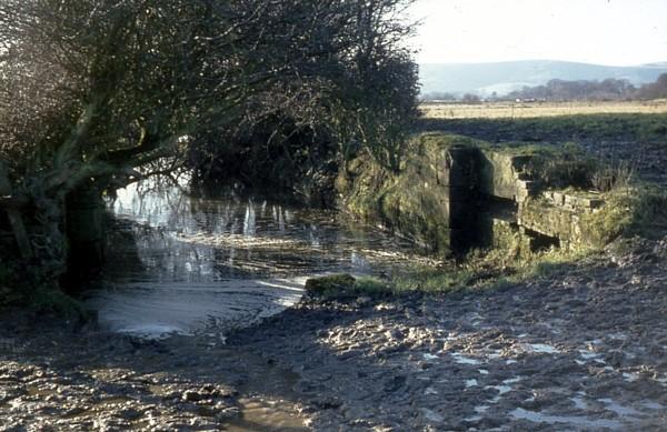 Coldwaltham