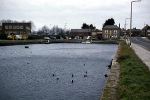 Chichester Canal