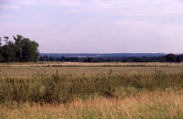 Meadows near Send Church