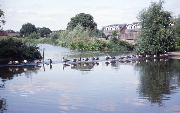 Coxes Lock