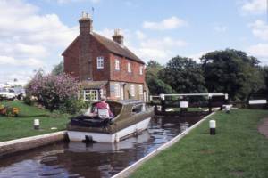 The River Wey