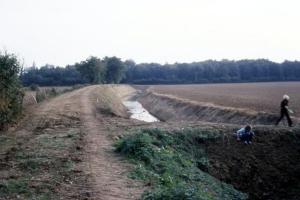 Near Rowley Lock