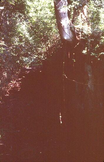 Brewhurst Lock 5