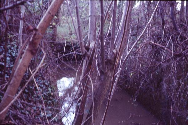 Brewhurst Lock 5