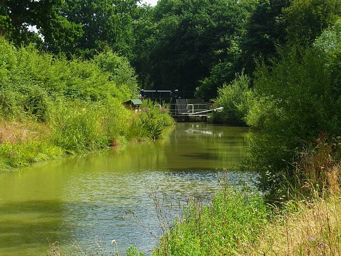 Brewhurst Lock 5