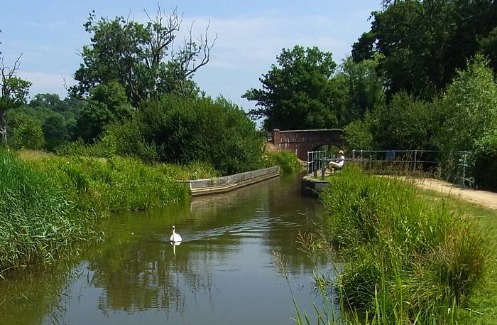 Drungewick Aqueduct