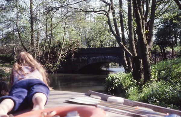 Railway Bridge, Bramley Stream