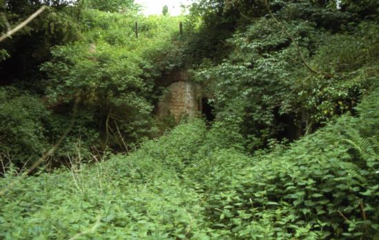 NW Portal of Berwick Tunnel