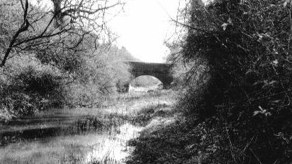 Widows Bridge, Berwick