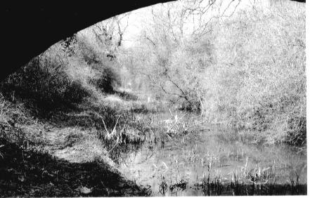 View towards Berwick Tunnel from under Widows Bridge