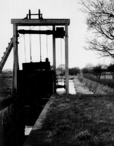 Eyton Lower Lock bottom gate