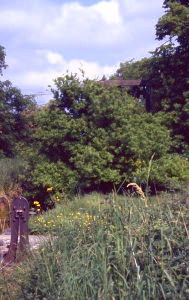 Hadley Park Lock