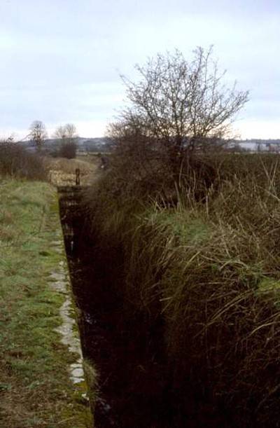 Peaty Lock