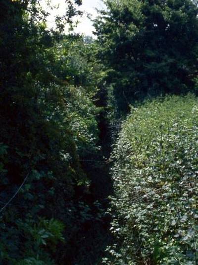 Peaty Lock