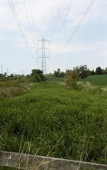 Canal line near Uffington