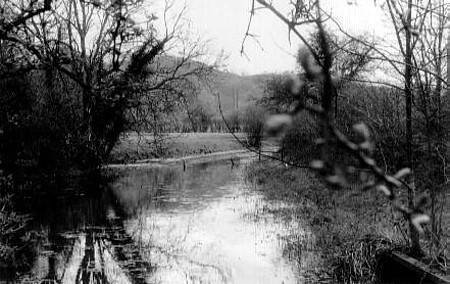 Canal Near Uffington Bridge