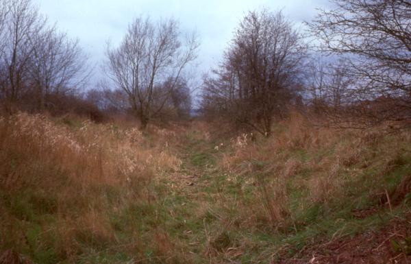 Rodington Embankment