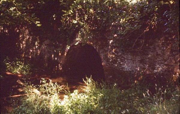 Putnal Fields Tunnel