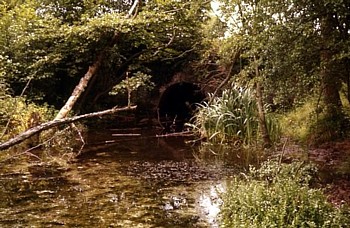 Putnal Fields Tunnel