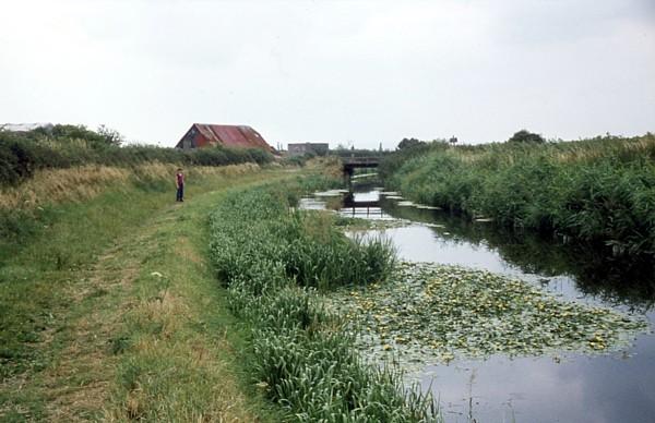 White's Swing Bridge